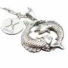 Top 10 🤩 Other Brands Polished Stainless Steel Pisces Zodiac Pendant 24 In. 🎁