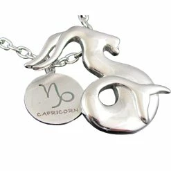Flash Sale 😍 Other Brands Polished Stainless Steel Capricorn Zodiac Pendant 24 In. 👏